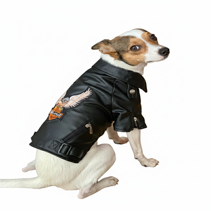 Biker Jacket for Small Dogs